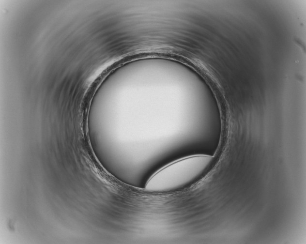 X0000103280830200808291043