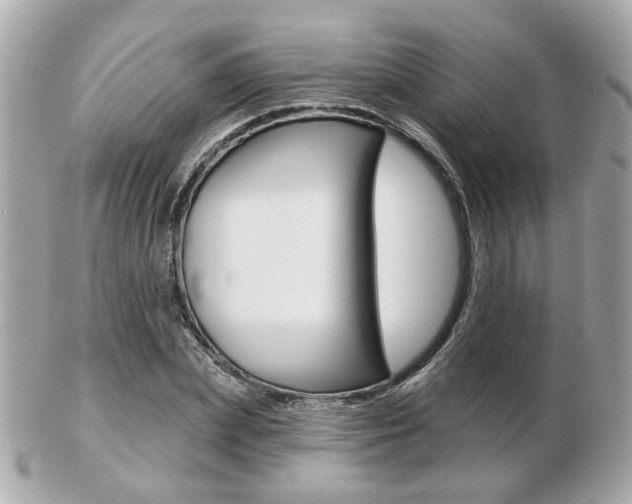 X0000103280831200808291043