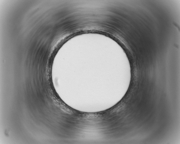 X0000103280832200808291043