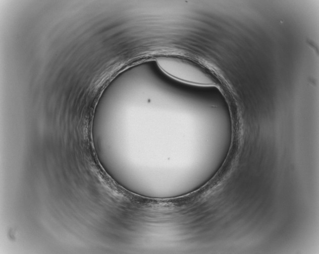 X0000103280833200808291043