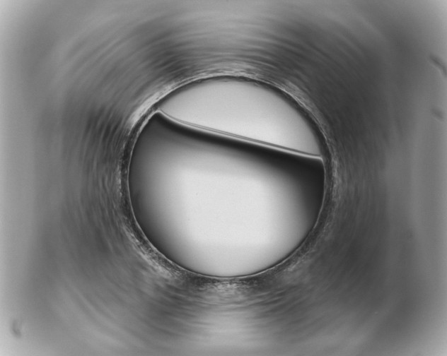 X0000103280834200808291043