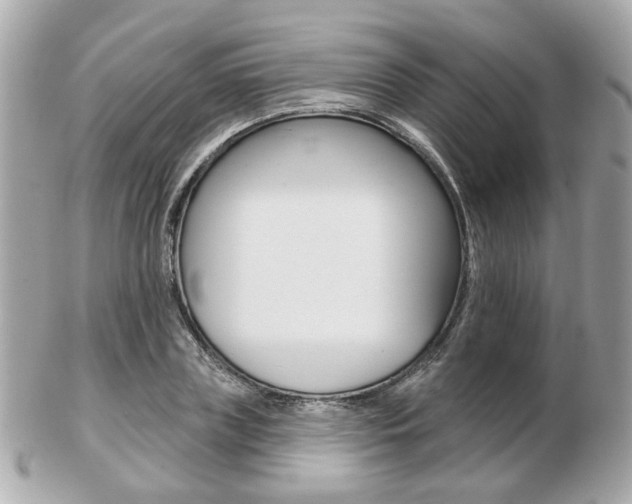 X0000103280835200808291043