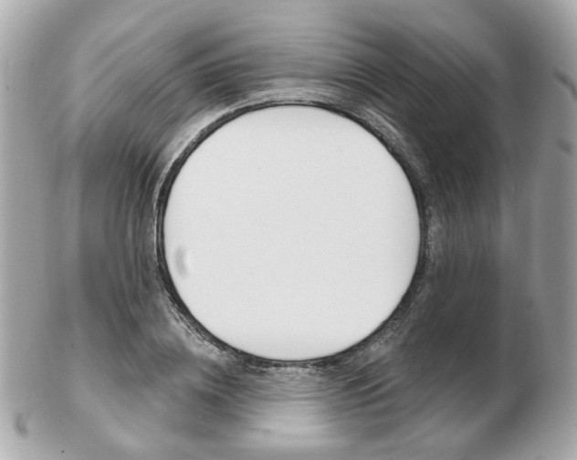 X0000103280836200808291043