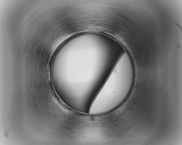 X0000103280838200808291044