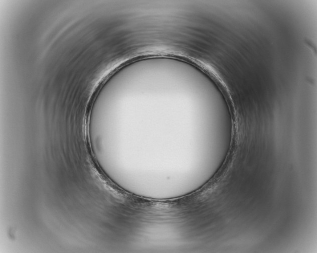 X0000103280839200808291044