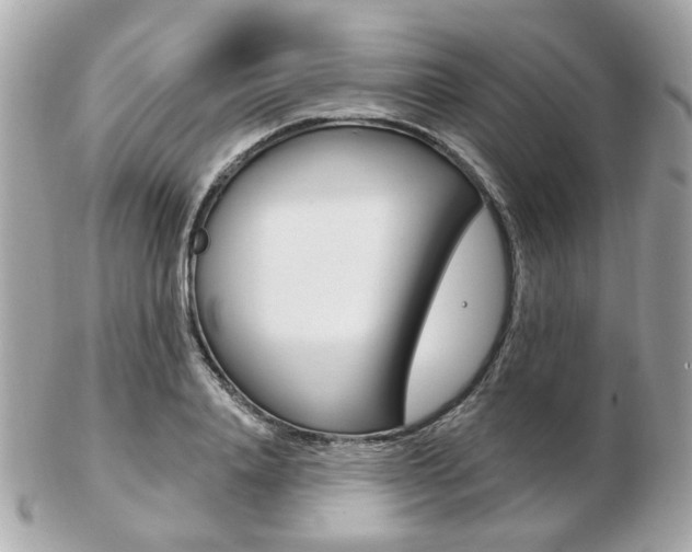 X0000103280840200808291044