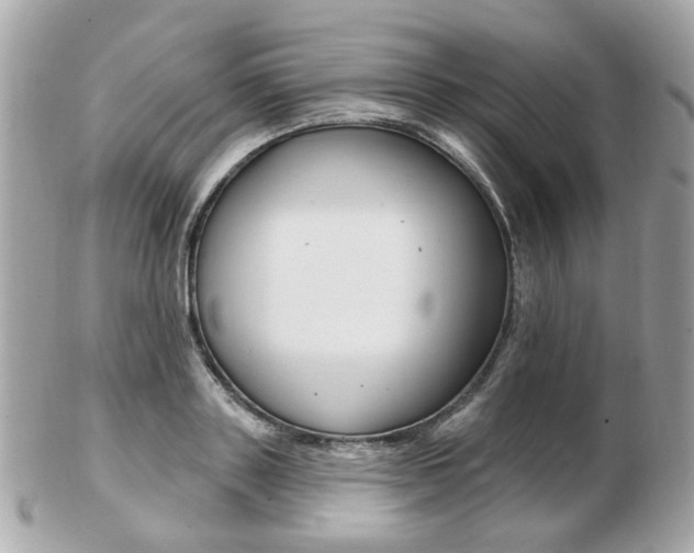X0000103280843200808291044