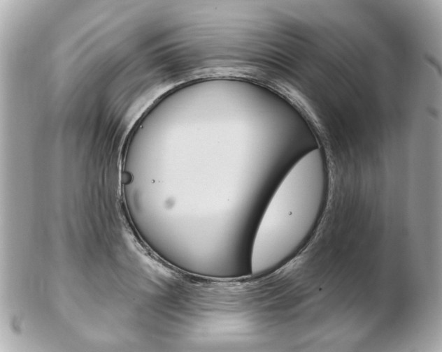 X0000103280844200808291044