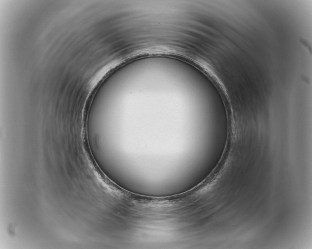 X0000103280845200808291044