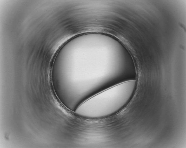 X0000103280846200808291044