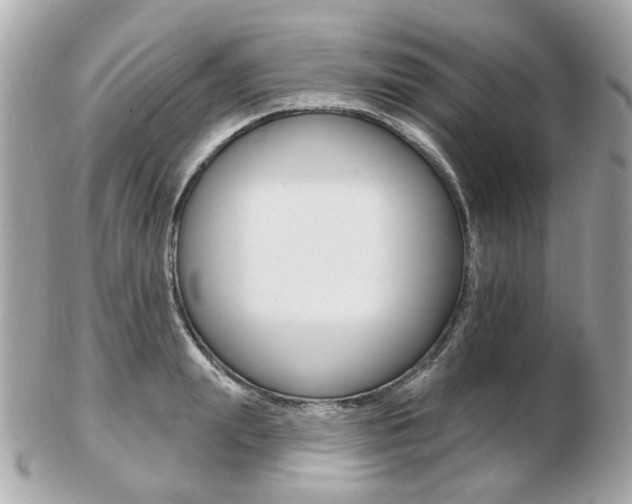 X0000103280847200808291044