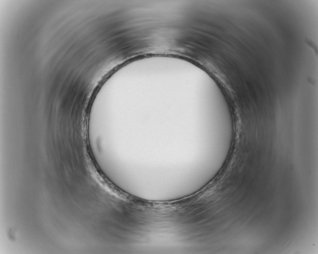 X0000103280848200808291044