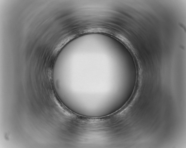 X0000103280849200808291044