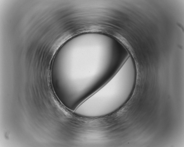 X0000103280850200808291044