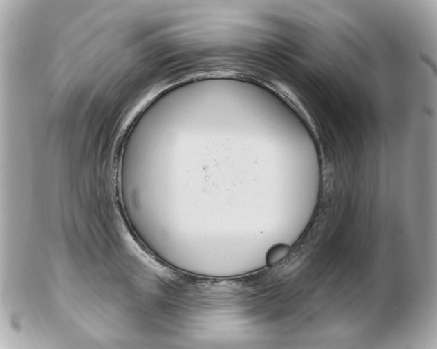 X0000103280851200808291044