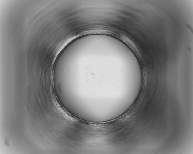 X0000103280852200808291044