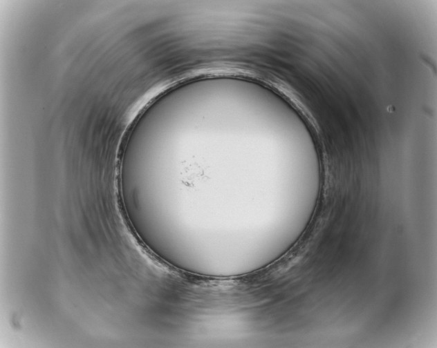 X0000103280853200808291044