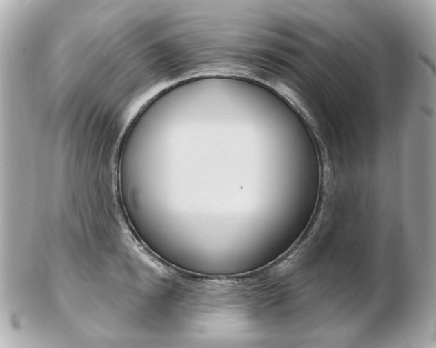 X0000103280854200808291044