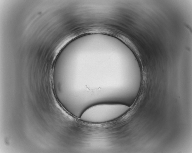 X0000103280855200808291044