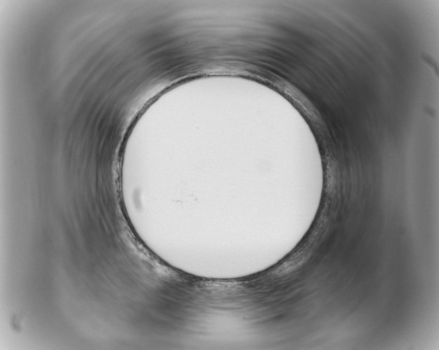 X0000103280856200808291044