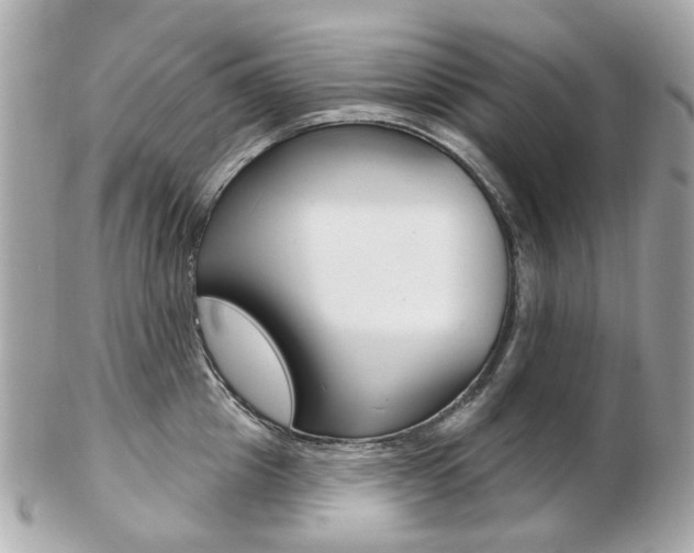 X0000103280857200808291044