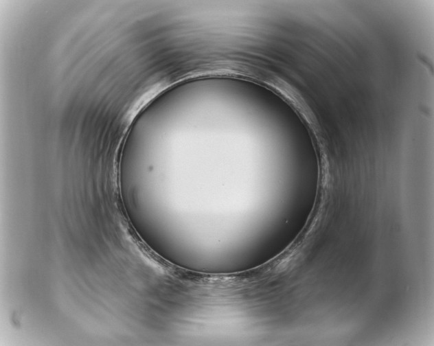 X0000103280858200808291044