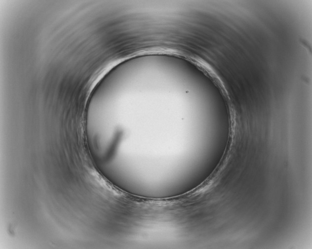 X0000103280860200808291044