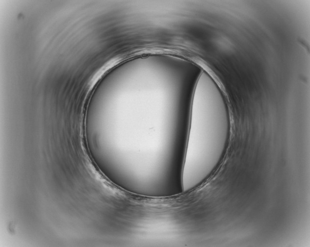 X0000103280861200808291044