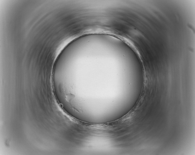 X0000103280863200808291044