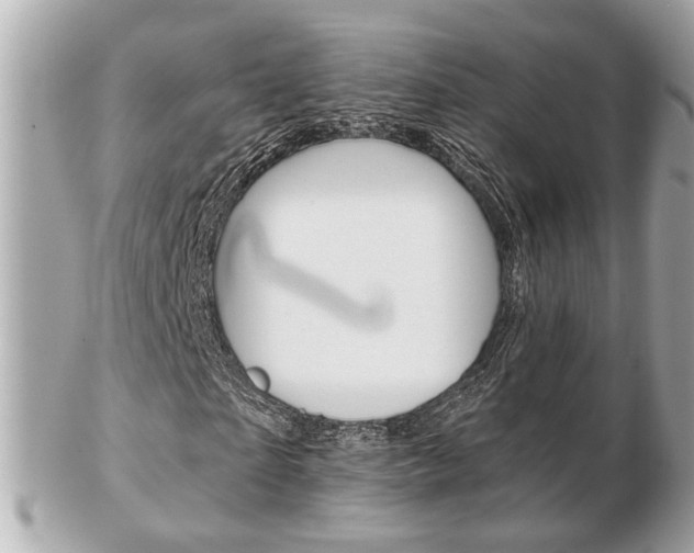 X0000103280865200808291043