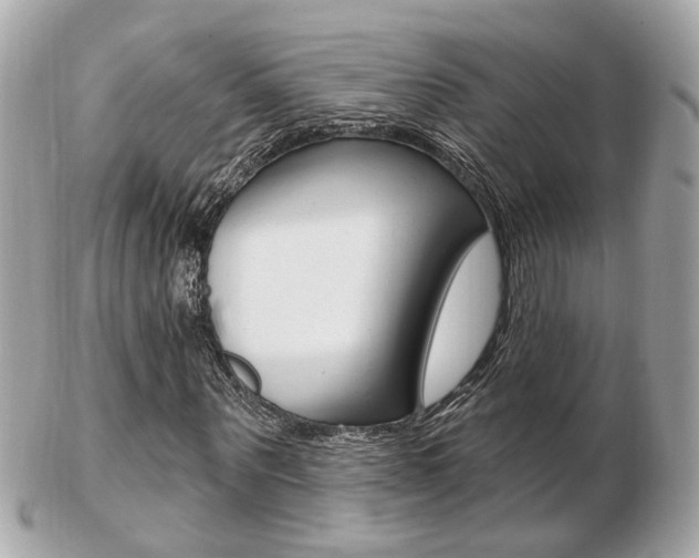 X0000103280867200808291043