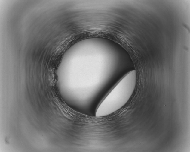 X0000103280868200808291043