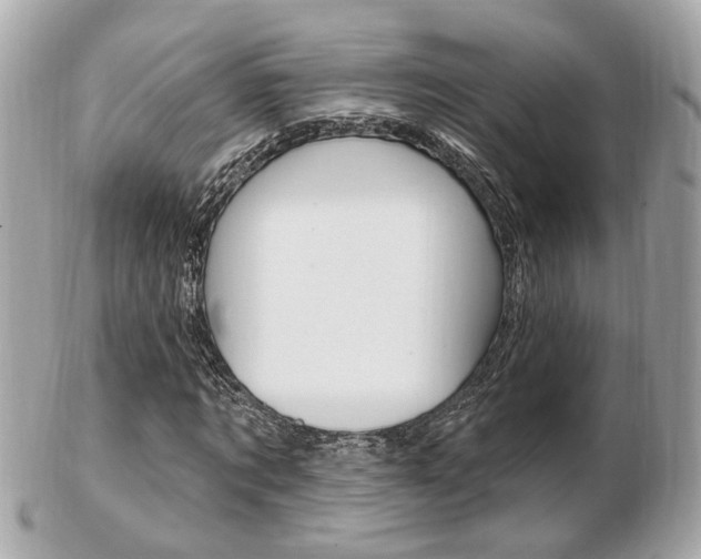 X0000103280869200808291043