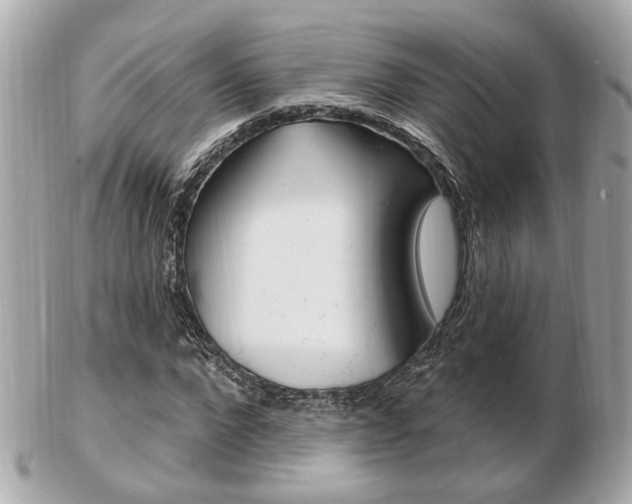 X0000103280872200808291043