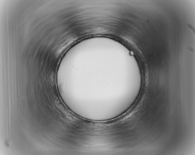X0000103280873200808291043