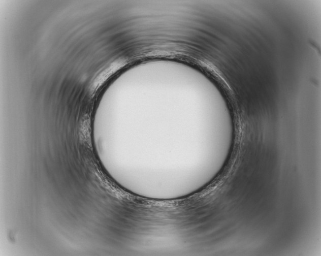 X0000103280874200808291043
