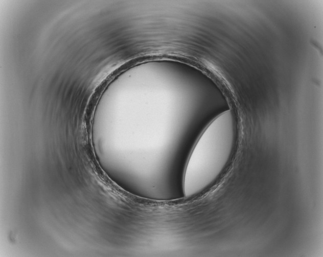 X0000103280876200808291043
