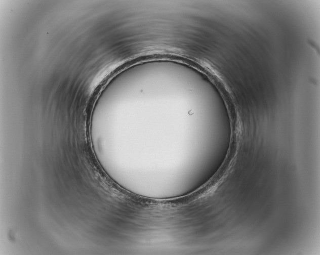 X0000103280877200808291043