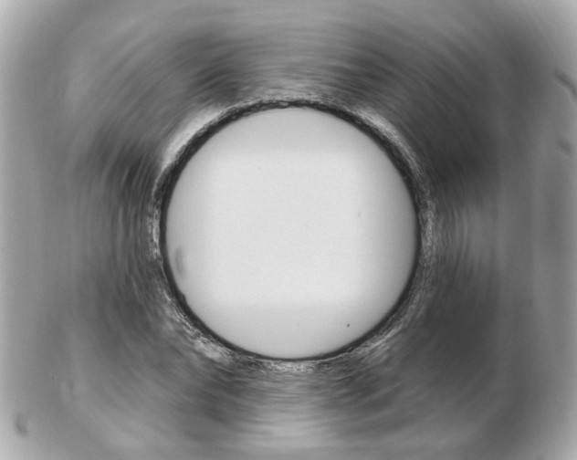 X0000103280878200808291043