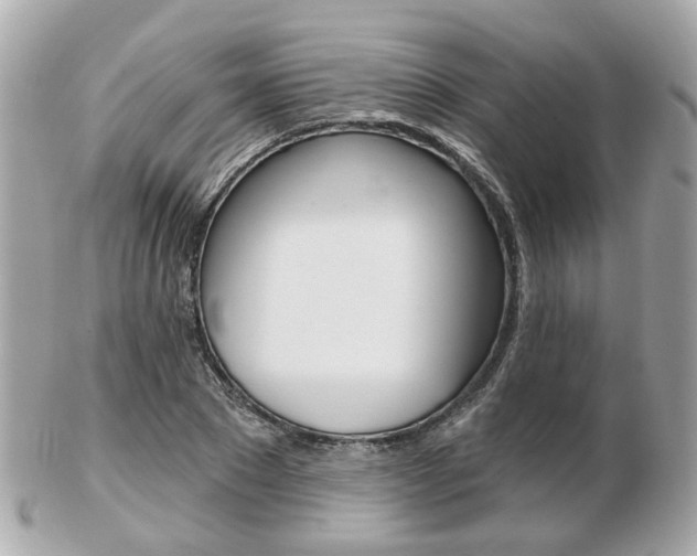 X0000103280881200808291043