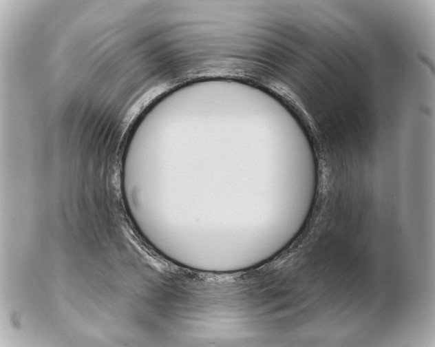 X0000103280882200808291043