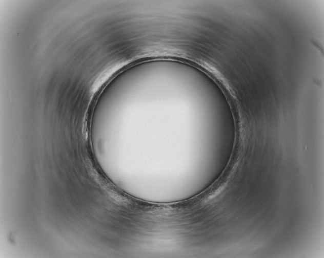 X0000103280885200808291043