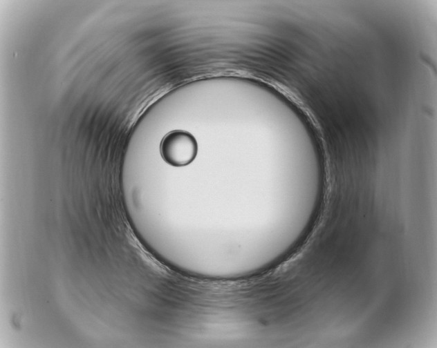 X0000103280889200808291043
