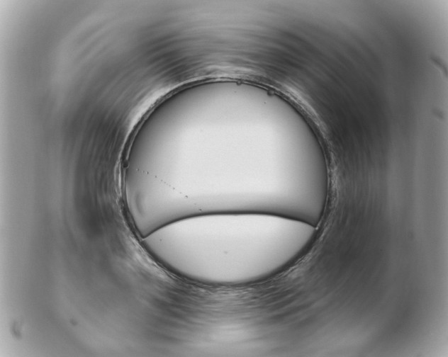 X0000103280891200808291043