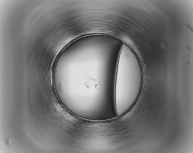 X0000103280892200808291043