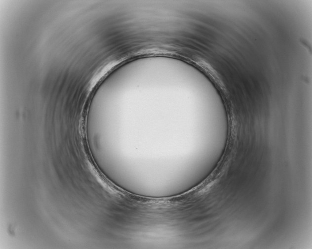 X0000103280893200808291043
