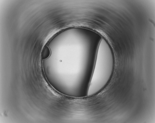 X0000103280894200808291043