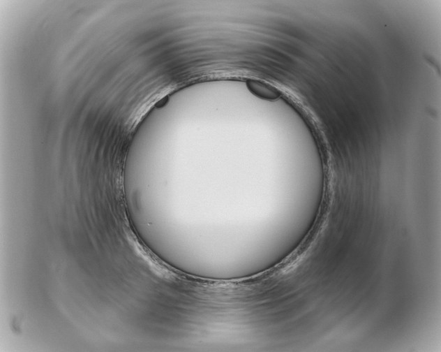 X0000103280897200808291043