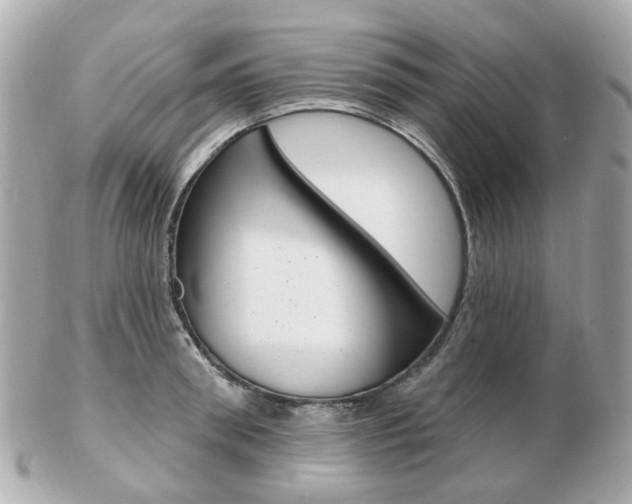 X0000103280898200808291043