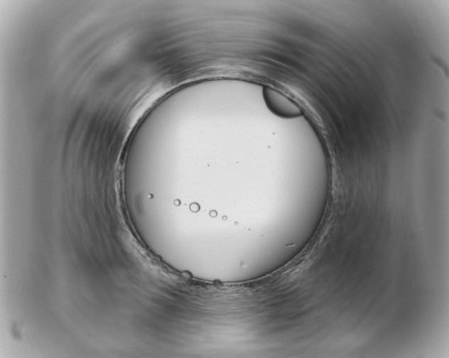 X0000103280899200808291043